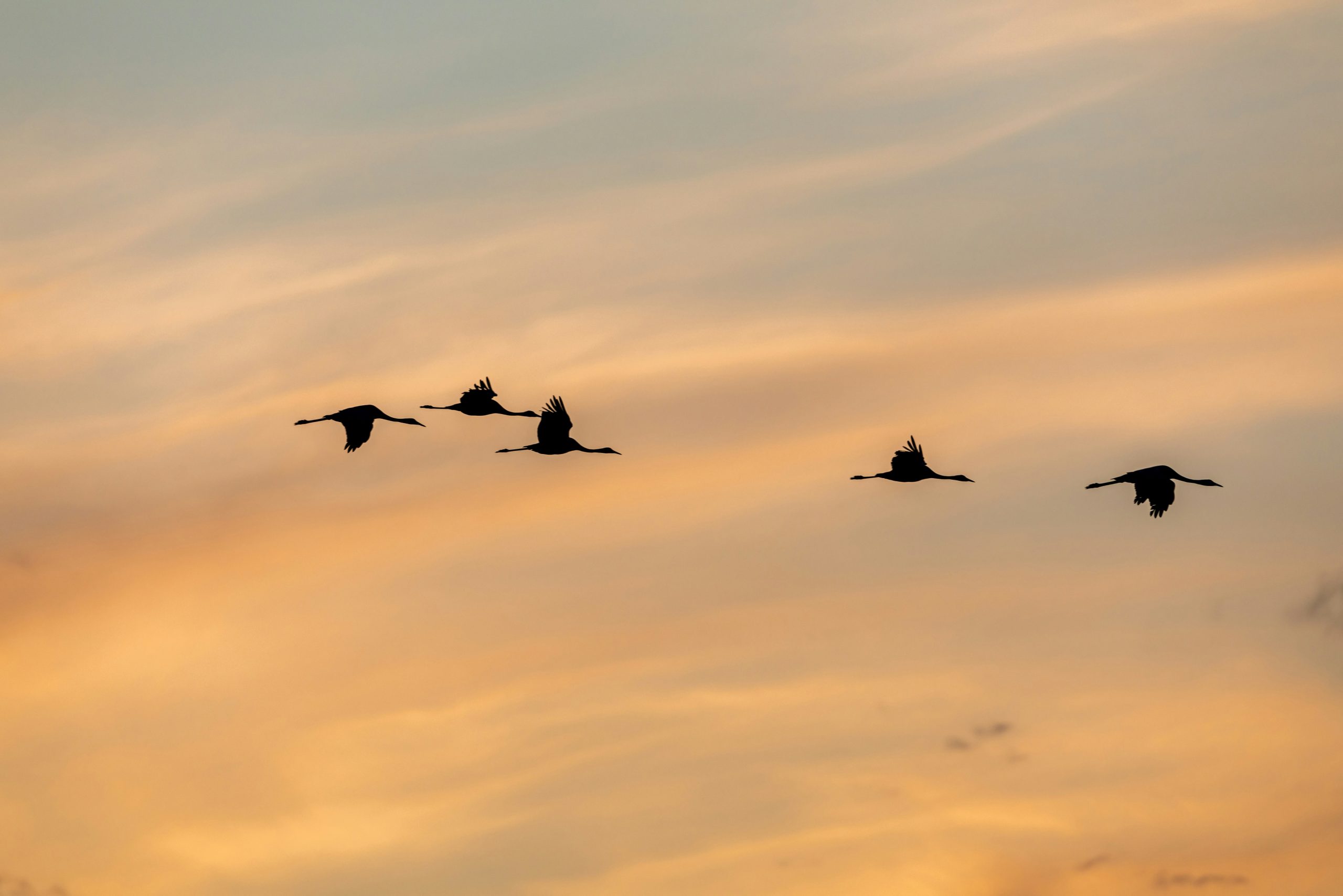 ホルトバージ国立公園